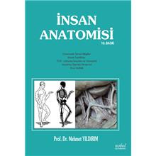 İnsan Anatomisi 10. Baskı