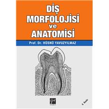 Diş Morfolojisi ve Anatomisi - Hüsnü Yavuz Yılmaz 