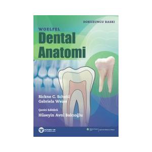 Woelfel Dental Anatomi